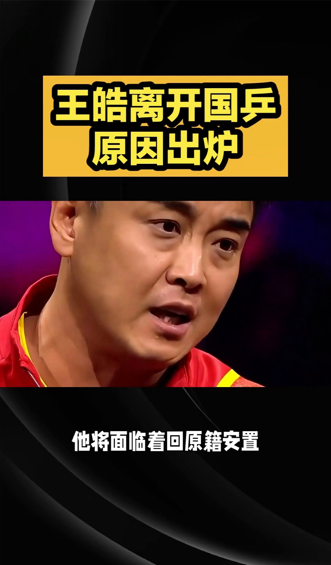 包含日本乒乓球队险胜瑞典乒乓球队，王皓高光表现的词条