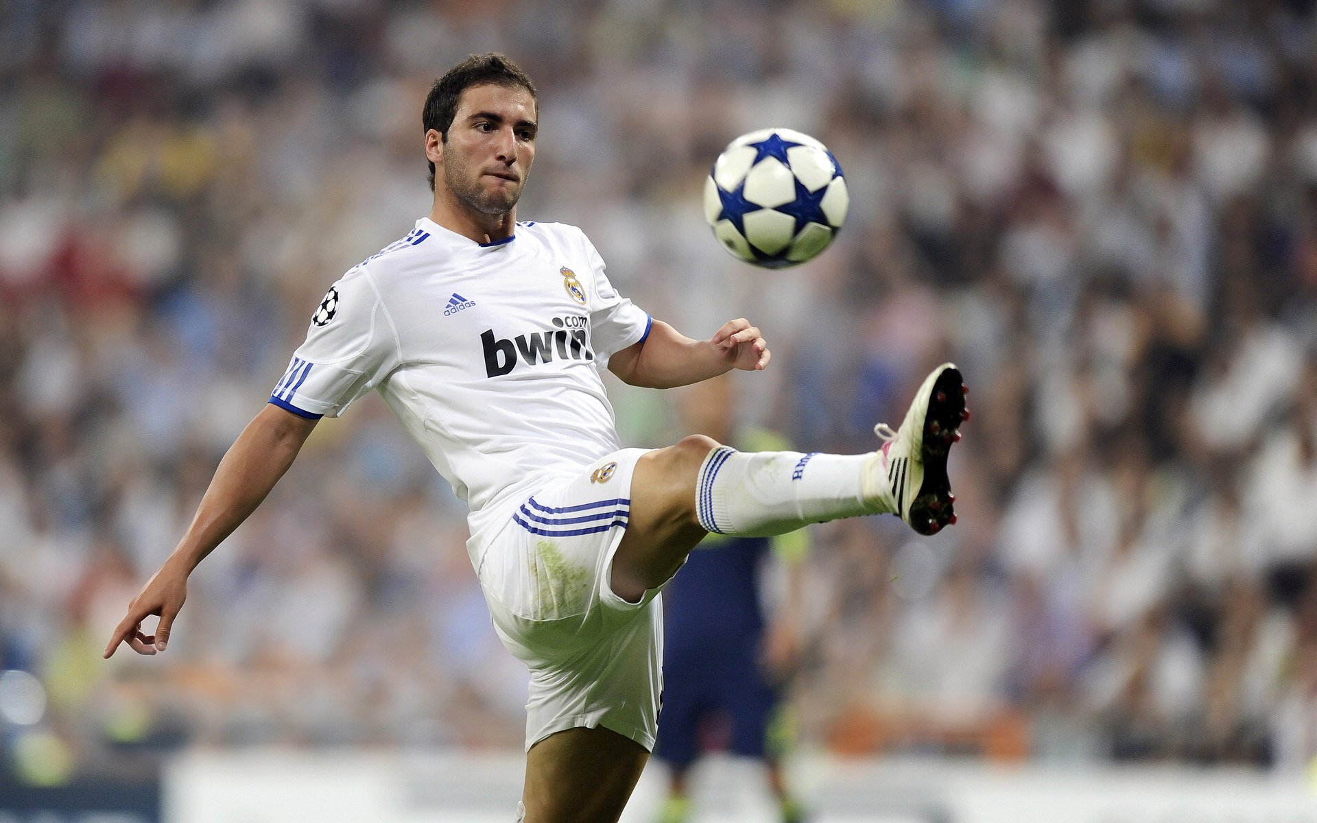 2026世界杯焦点战前瞻，奇才战术革命如何粉碎传统灰熊式足球