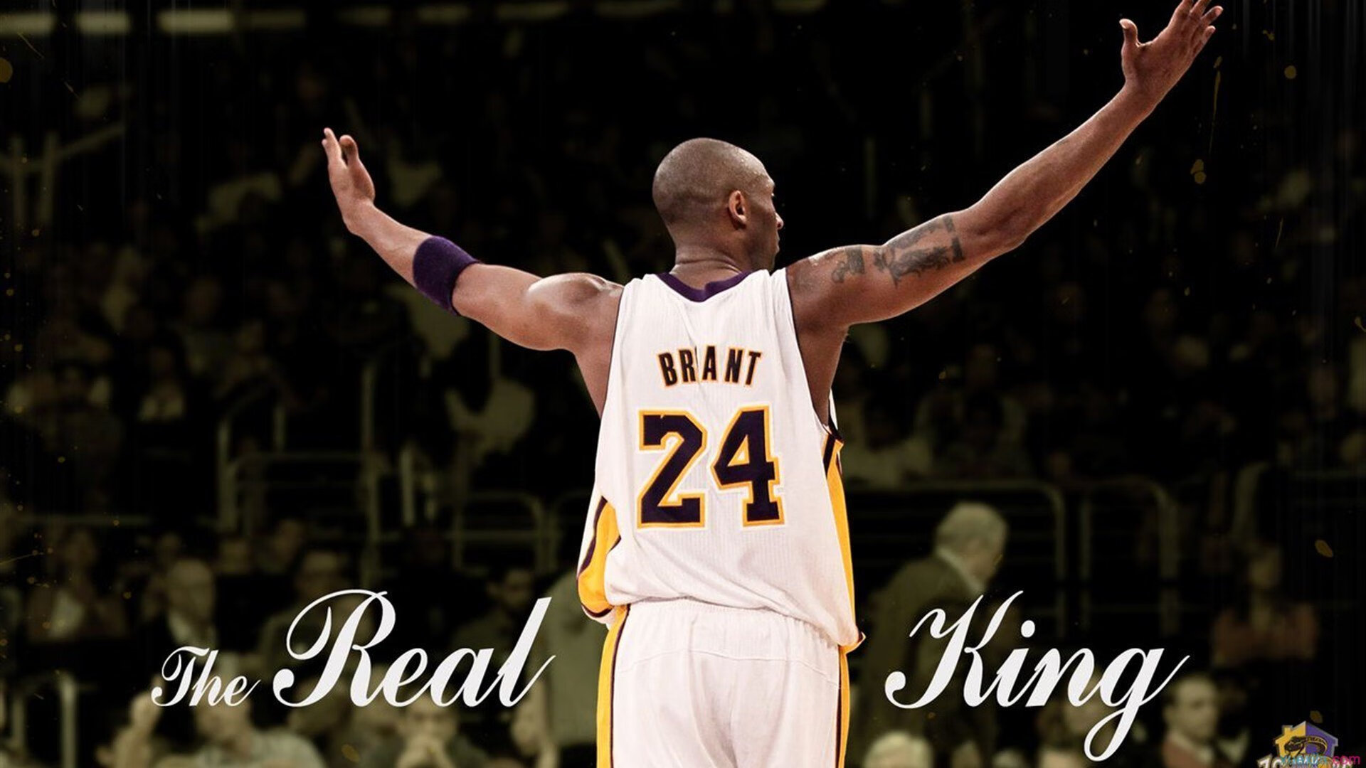 凯尔特人险胜篮网，张镇麟高光表现闪耀全场